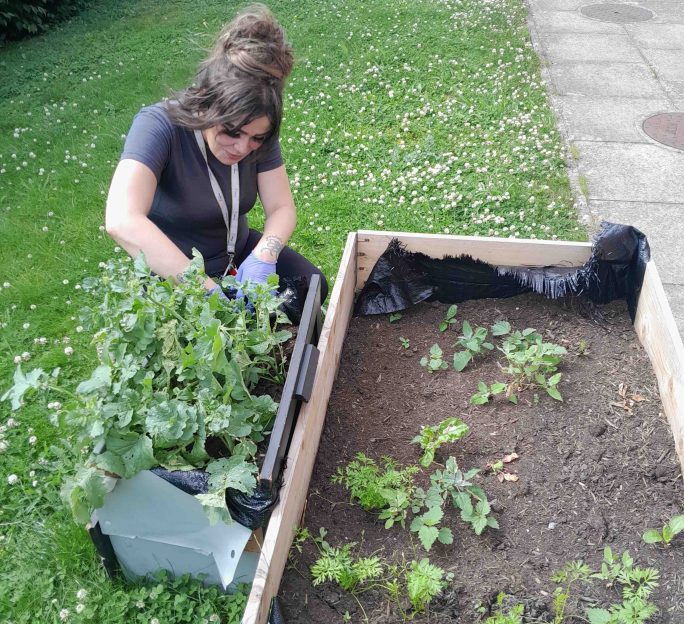 Growing Confidence Through Meaningful Activity at Millcroft